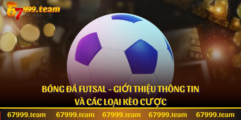 Bóng Đá Futsal - Giới Thiệu Thông Tin Và Các Loại Kèo Cược