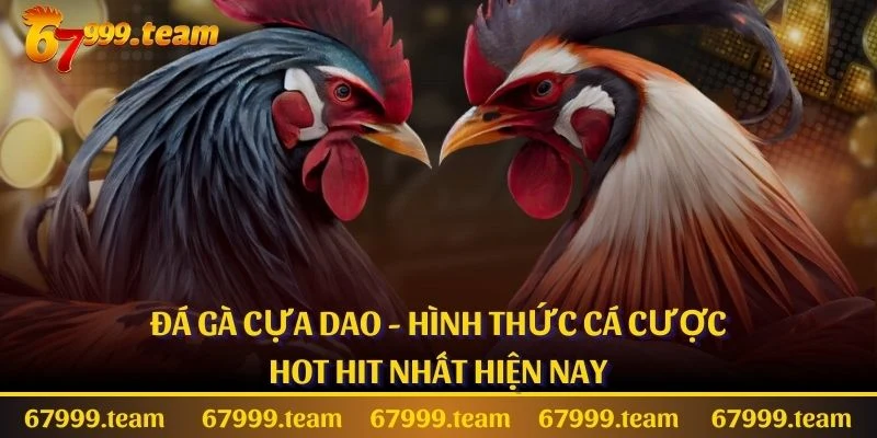 Đá Gà Cựa Dao - Hình Thức Cá Cược Hot Hit Nhất Hiện Nay