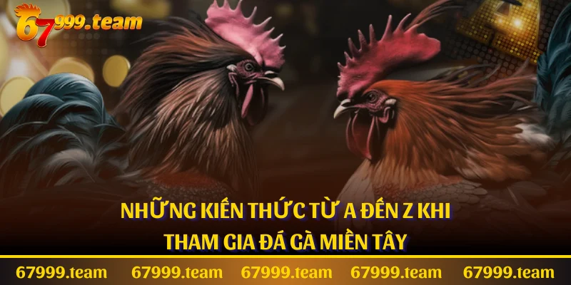 Những Kiến Thức Từ A Đến Z Khi Tham Gia Đá Gà Miền Tây