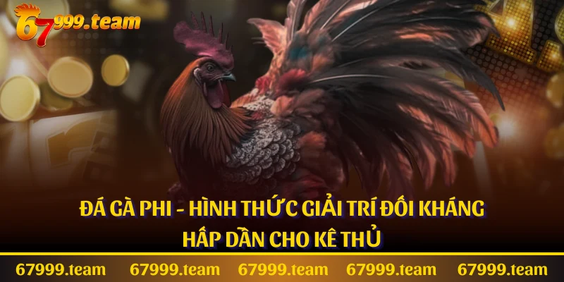 Đá Gà Phi - Hình Thức Giải Trí Đối Kháng Hấp Dẫn Cho Kê Thủ