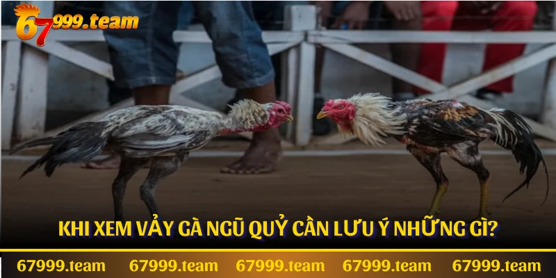 Khi xem vảy gà ngũ quỷ cần lưu ý những gì?