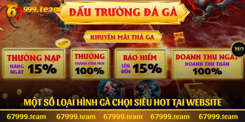 Một số loại hình gà chọi siêu hot tại website