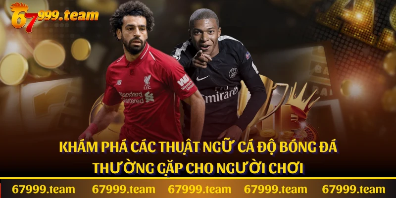 Khám Phá Các Thuật Ngữ Cá Độ Bóng Đá Thường Gặp Cho Người Chơi