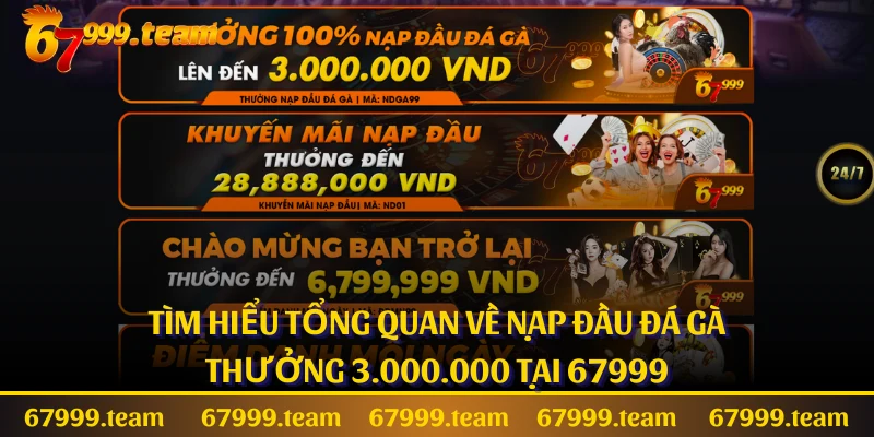 Tìm hiểu tổng quan về nạp đầu đá gà thưởng 3.000.000 tại 67999