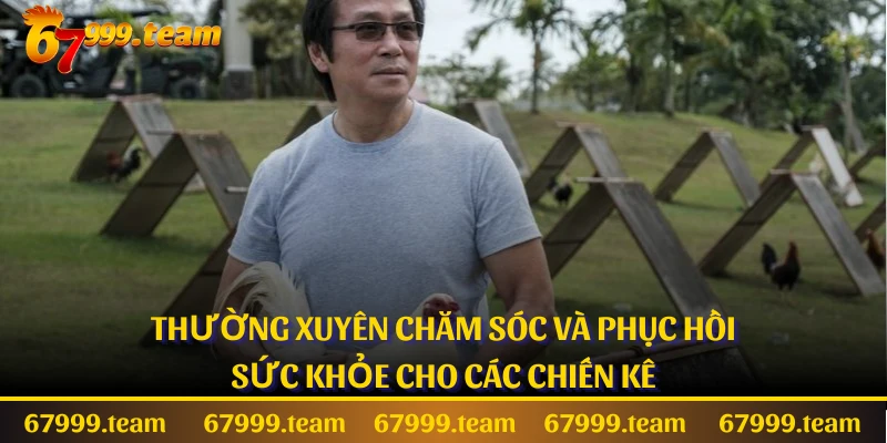 Thường xuyên chăm sóc và phục hồi sức khỏe cho các chiến kê