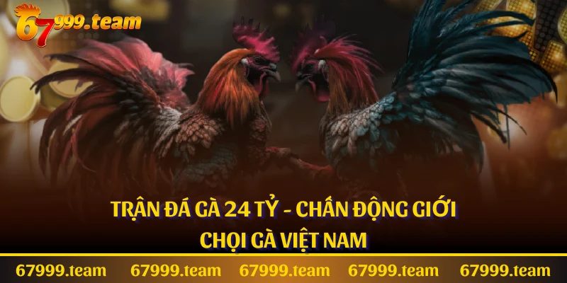 Trận Đá Gà 24 Tỷ - Chấn Động Giới Chọi Gà Việt Nam