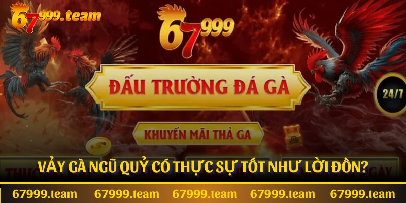 Vảy gà ngũ quỷ có thực sự tốt như lời đồn?