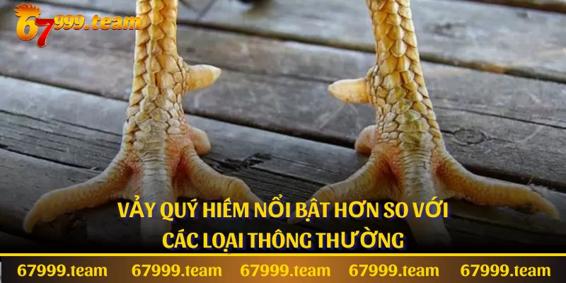 Vảy quý hiếm nổi bật hơn so với các loại thông thường