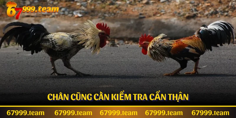 Chân cũng cần kiểm tra cẩn thận