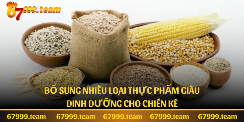 Bổ sung nhiều loại thực phẩm giàu dinh dưỡng cho chiến kê