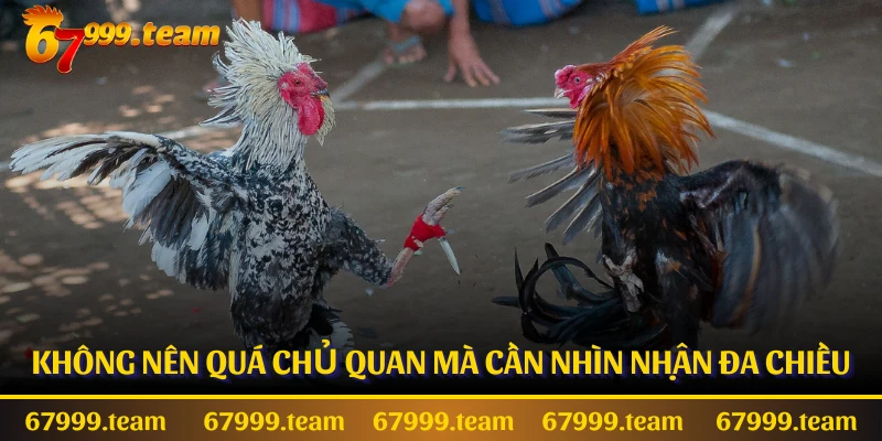 Không nên quá chủ quan mà cần nhìn nhận đa chiều